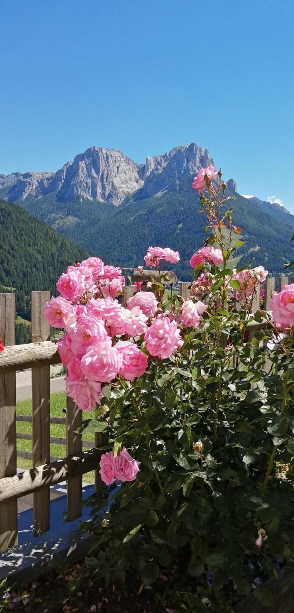 Villetta Muncion Pozza di Fassa Exterior foto